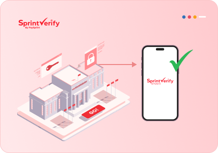 Combat Fraud with KYC Verification